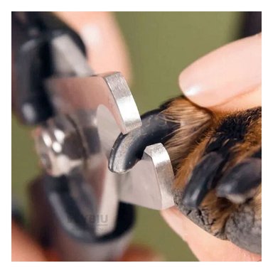 CORTAUÑAS PERRO Y GATO RYBIU PP28L LIMA CON PET ROJO + AGENDITA