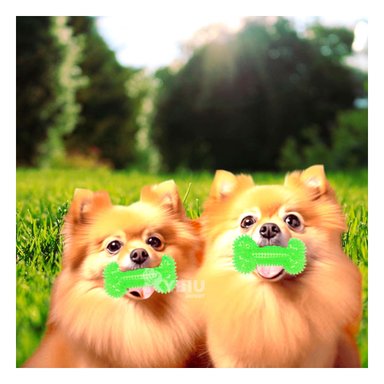 SET JUEGO PERRO MA29851 RYBIU LUZ LED TONO VERDE Y STICKERS