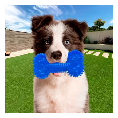 SET JUEGO PERRO MA29850 RYBIU LUZ LED AZUL Y STICKERS