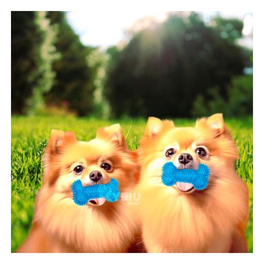 SET JUEGO PERRO MA29852 RYBIU LUZ LED CELESTE Y STICKERS