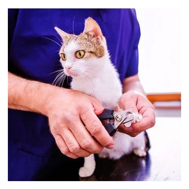 CORTAUÑAS PERRO Y GATO RYBIU PP28L ALICATE PARA PET ERGONÓMICO DE ROJO + STICKERS