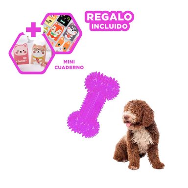 SET JUGUETES PERRO MA29847 RYBIU HUESOS MORADO Y AGENDITA