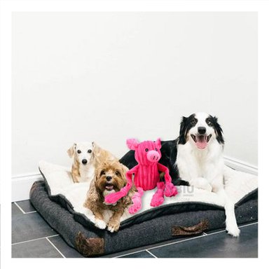 PELUCHE PERRO MA30036 RYBIU FORMA DE CHANCHO RESISTENTE ROSADO