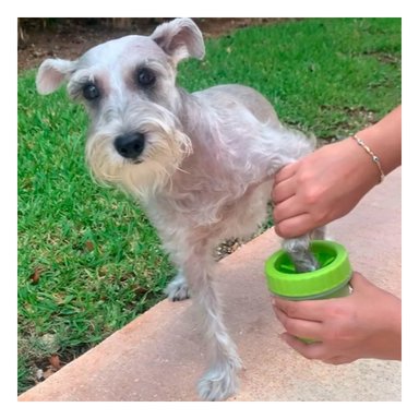 LIMPIADOR PATAS PERRO RYBIU MA29656 FUNCIONAL MASCOTAS COLOR VERDE