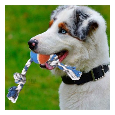 SOGA ALGODÓN PERRO MA29964 CON PELOTA DE TENNIS MULTICOLOR RYBIU