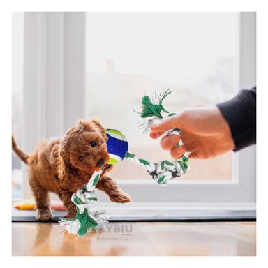 SOGA ALGODÓN PERRO MA29965 MULTICOLOR +AGENDITA RYBIU