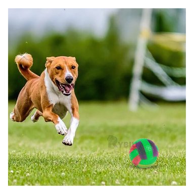 PELOTA PERROS MA30031 RYBIU DINAMICA CON SONIDOS DE COLOR VERDE +STICKERS