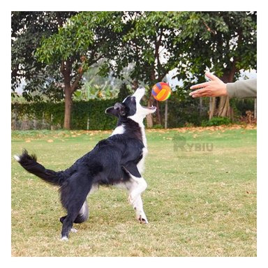 PELOTA  PERRO Y GATO MA30033 NARANJA +AGENDITA RYBIU