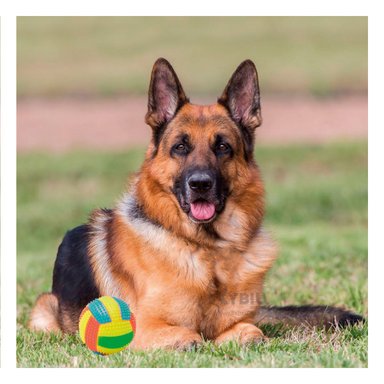 PELOTA FACIL DE LAVAR EN COLOR AMARILLO Y+PAPEL DE REGALO