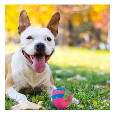 PELOTA  PERRO MA30030 DINAMICO ROSADO RYBIU