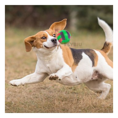 PELOTA PERROS MA30031 RYBIU INTERACTIVA PARA JUEGOS VERDE +PAPEL DE REGALO