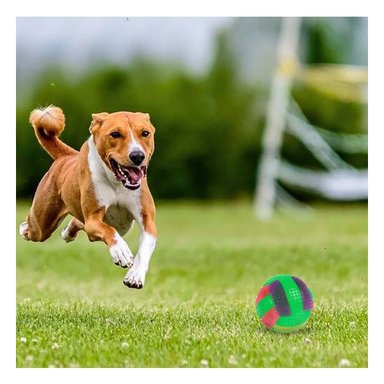 PELOTA PERROS MA30031 RYBIU INTERACTIVA PARA JUEGOS VERDE +PAPEL DE REGALO - 3