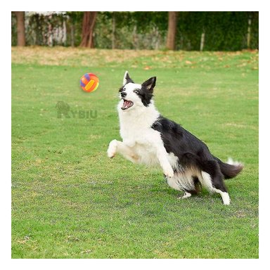 PELOTA PERROS Y GATOS MA30033 RYBIU CON DISEÑO SIMPLE EN COLOR NARANJA +STICKERS