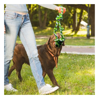 SOGA ALGODÓN MA29954 VERDE +AGENDITA RYBIU