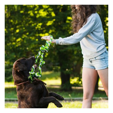 SOGA ALGODÓN MA29954 VERDE +PAPEL DE REGALO RYBIU