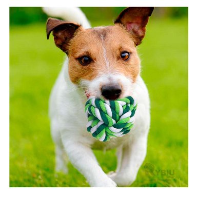 PELOTA ALGODON PERROS MA29957 RYBIU RESISTENTE VERDE +PAPEL DE REGALO