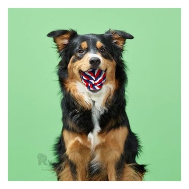 PELOTA ALGODON PERROS MA29956 RYBIU RESISTENTE MULTICOLOR +PAPEL DE REGALO