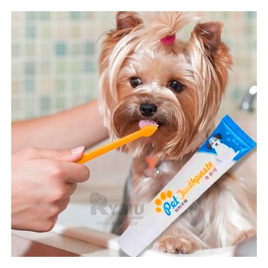 KIT PERRO Y GATO RIPLEY MA29836 CACHORROS 4 PIEZAS + STICKERS