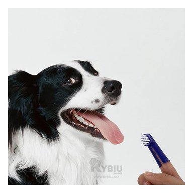 CEPILLO PERRO Y GATO RIPLEY MA29836 KIT DIENTES CON PASTA DENTAL MASCOTA 4 PIEZAS