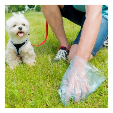 BOLSA SANITARIA PERRO Y GATO RYBIU MA29657 SET X 10 DESECHABLES