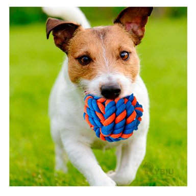 PELOTA ALGODON PERROS MA29958 RYBIU RESISTENTE AZUL +PAPEL DE REGALO