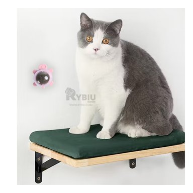 BOLA GATOS MA29085 RYBIU GATERA DE HIERBA DISEÑO TORTUGA COLOR ROSADO +AGENDITA