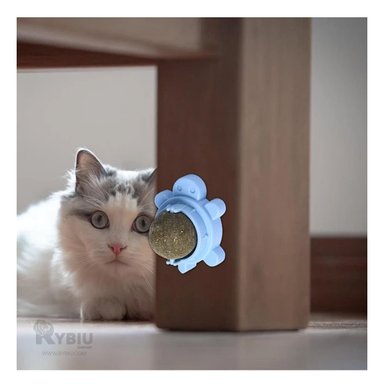 BOLA GATO MA29086 RYBIU IDEAL SALUD BUCAL CELESTE Y STICKERS