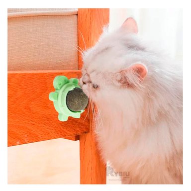 BOLA GATO MA29087 RYBIU IDEAL SALUD BUCAL VERDE Y STICKERS