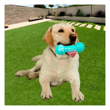 JUGUETE MASTICADOR PERROS MA29645 RYBIU EN FORMA DE PESA CON PUAS VERDE AGUA