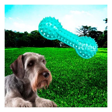 JUGUETE PERROS MA29645 RYBIU RESISTENTE CON PUAS EN TONO VERDE AGUA +STICKERS