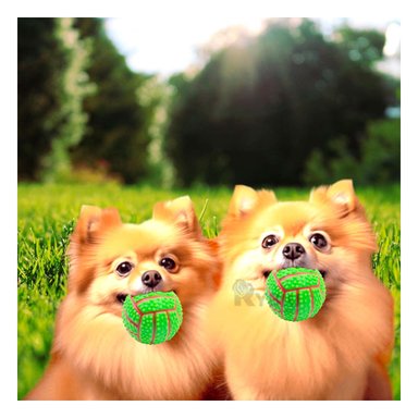 PELOTA PERROS MA29646 RYBIU RESISTENTE CON SONIDO EN TONO VERDE +PAPEL DE REGALO