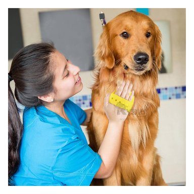 PEINE PERRO Y GATO RYBIU MA29128 ERGONÓMICO DURADERO AMARILLO + STICKERS