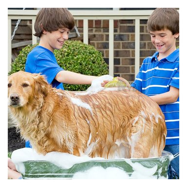 PEINE PERRO Y GATO RYBIU MA29128 PRACTICA Y CONFIABLE AMARILLO + AGENDITA