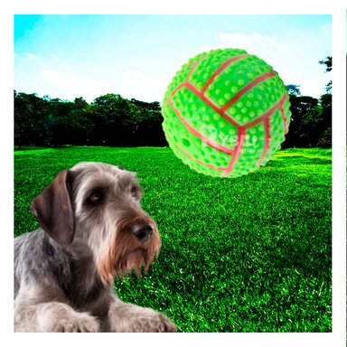 PELOTA PERROS MA29646 RYBIU LLAMATIVA CON RELIEVE DE COLOR VERDE +AGENDITA