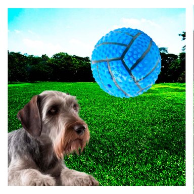 PELOTA PERROS MA29647 RYBIU LLAMATIVA CON RELIEVE DE COLOR AZUL +AGENDITA