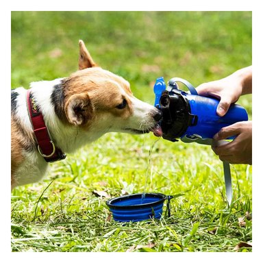 BEBEDERO PERRO Y GATO MA29628 PLATO PLEGABLE TONO AZUL Y AGENDITA RYBIU