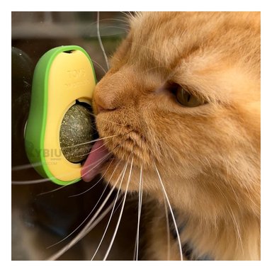 JUGUETE CATNIP GATOS MA29130 RYBIU CATNIP DIVERTIDO COLOR VERDE +PAPEL DE REGALO