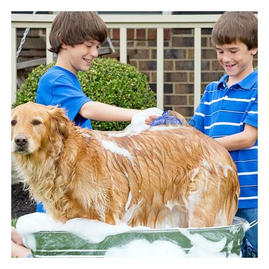 PEINE PERRO Y GATO RYBIU MA29129 PRACTICO Y CONFIABLE CELESTE + AGENDITA