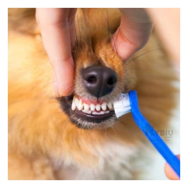 LIMPIEZA BUCAL PERRO Y GATO RYBIU MA29502 KIT CUIDADO DENTAL AZUL + PAPEL REGALO
