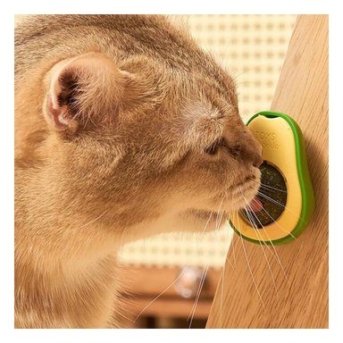 EXTRACTO DIVERTIDO EN FORMA DE PALTA VERDE PARA MASCOTAS - 1