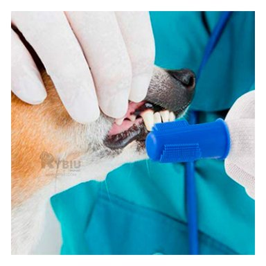 LIMPIEZA BUCAL PERRO Y GATO RYBIU MA29502 KIT PRÁCTICO SALUD DENTAL MASCOTAS AZUL + STICKERS