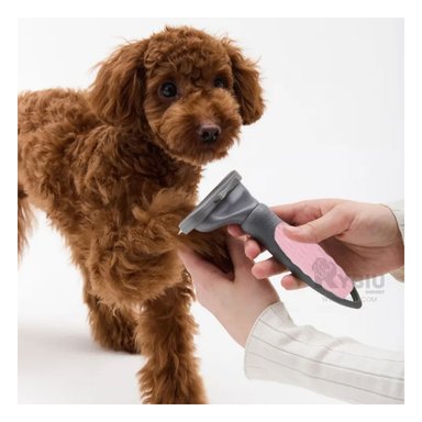 CEPILLO PERRO Y GATO RYBIU MA29632 PARA PELO PET ROSADO + STICKERS