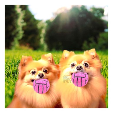 PELOTA PERROS MA29649 RYBIU RESISTENTE CON SONIDO TONO ROSADO +PAPEL DE REGALO