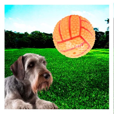 PELOTA PERRO MA29648 RYBIU LLAMATIVA CON RELIEVE DE ANARANJADO Y AGENDITA