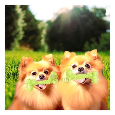 JUGUETE PERRO MA29650 RYBIU ESTIMULADOR DIENTES VERDE LIMON Y PAPEL REGALO