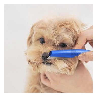 PEINE PERRO Y GATO RYBIU MA29620 FINO EFICAZ QUITA PULGAS DE AZUL + STICKERS