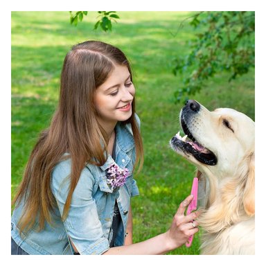 PEINE PERRO Y GATO RYBIU FINO DURARO ROSADO + STICKERS