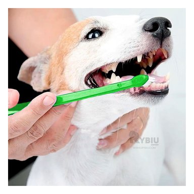 CEPILLO PERRO Y GATO RYBIU MA29618 KIT EFICAZ CEPILLO MASCOTAS MULTICOLOR + STICKERS