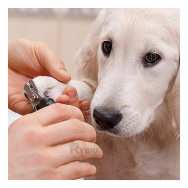 CORTAUÑAS PERRO Y GATO RYBIU MA29634 ERGONOMICA ROSADO