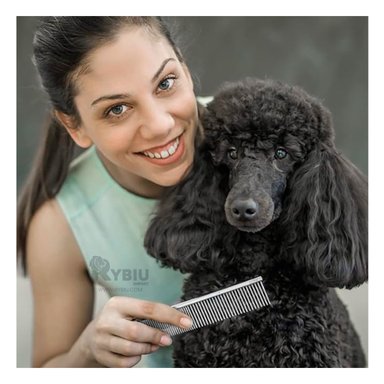 PEINE PERRO Y GATO RYBIU MA29633 PLATEADO + AGENDITA